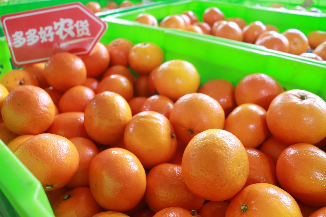 C:\Users\yushuang\AppData\Local\Temp\WeChat Files\6f5f6e700a41f8d5d75c531018f8d5a0_.jpg