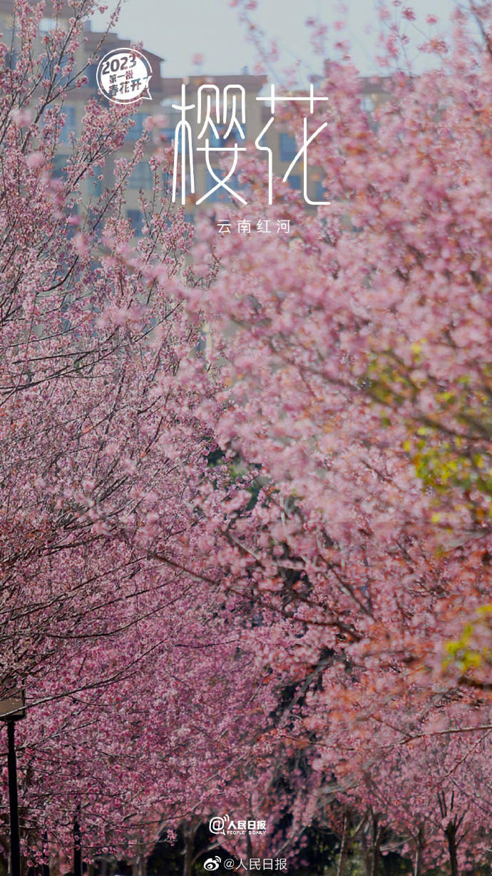 8.jpg?x-oss-process=style/w10