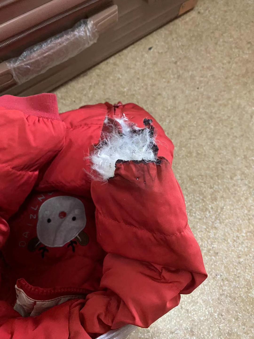 事发时小语禾身上的衣服。