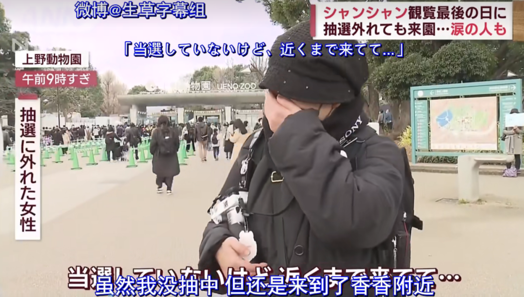 被质疑遭受“虐待”的旅美大熊猫 总算要接回来了