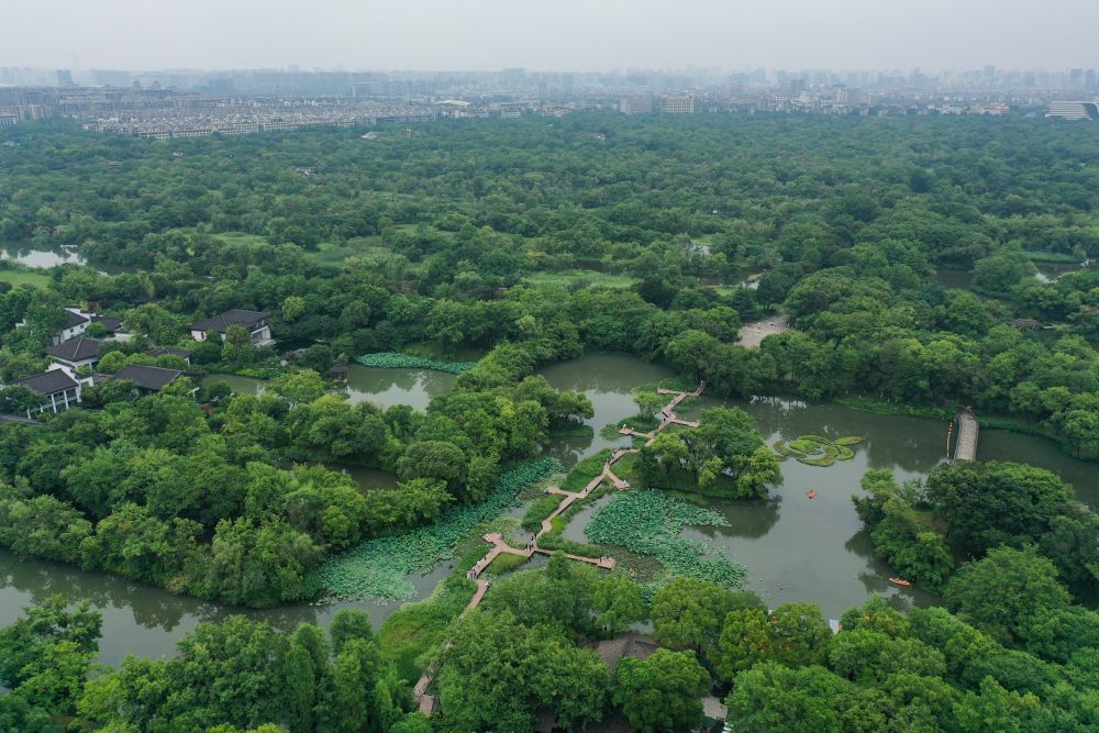 西溪湿地照片图片