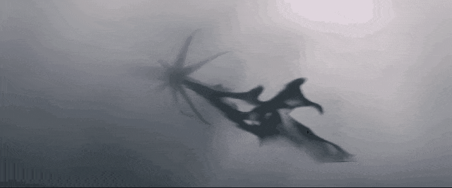 影视作品中的章鱼形态外星人丨电影《降临》