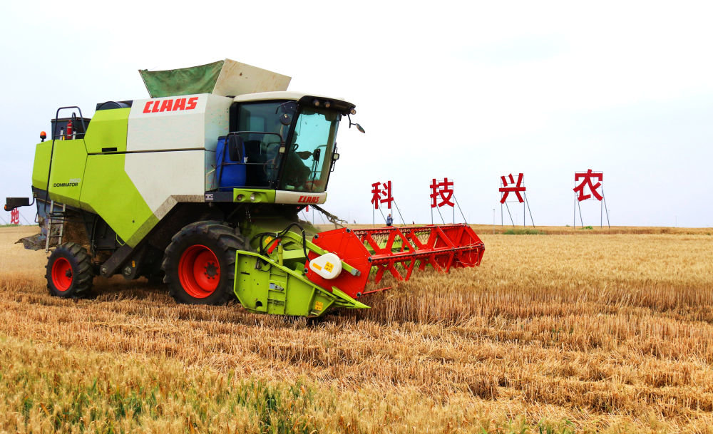 ↑ 5月25日，收割机在河南省内乡县麦田中收割小麦。新华社发（张中立摄）