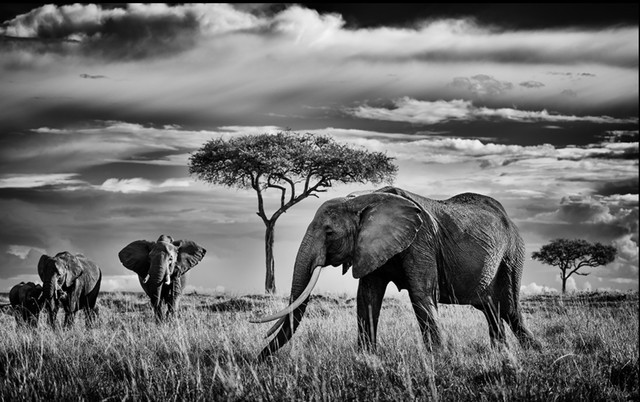 从人像到风光 富士GFX中画幅相机如何搭配镜头