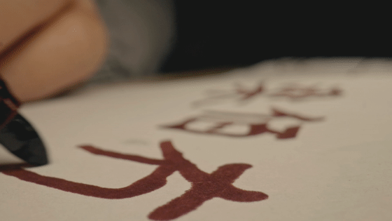 英雄之光|913位回国烈士遗骸,他是目前唯一没有任何遗物但找到家人的……