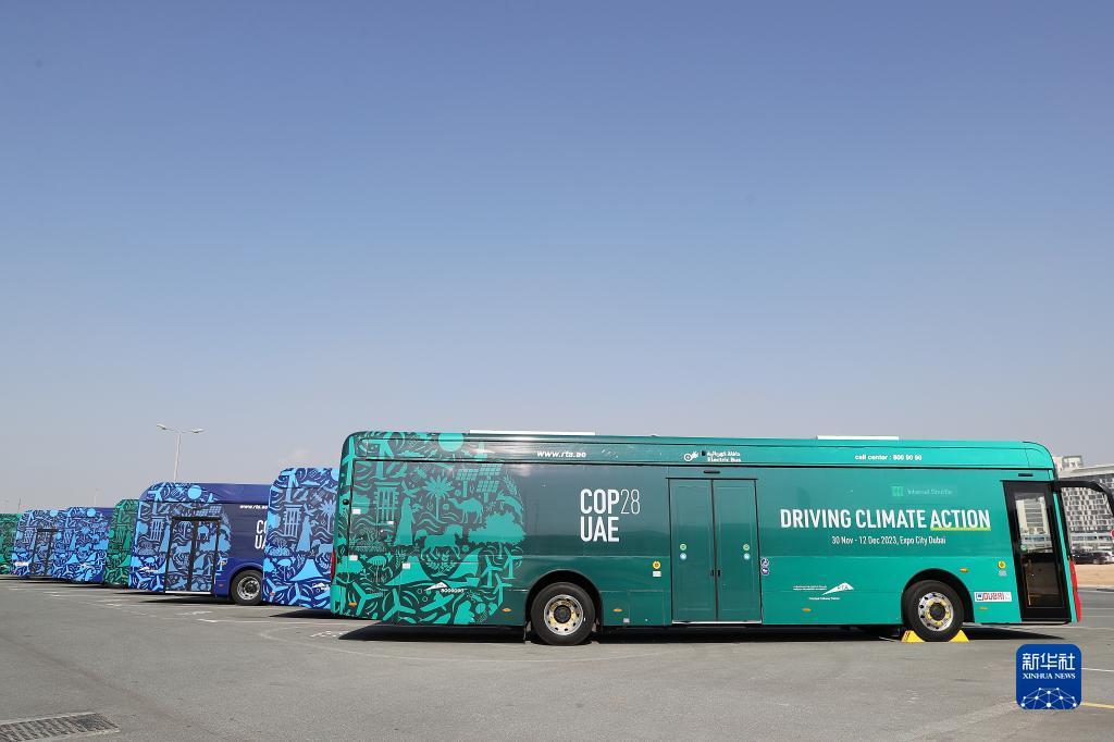 12月3日，中国苏州金龙公司的海格电动巴士（前）停靠在联合国气候变化迪拜大会的摆渡车停车场。新华社记者 王东震 摄