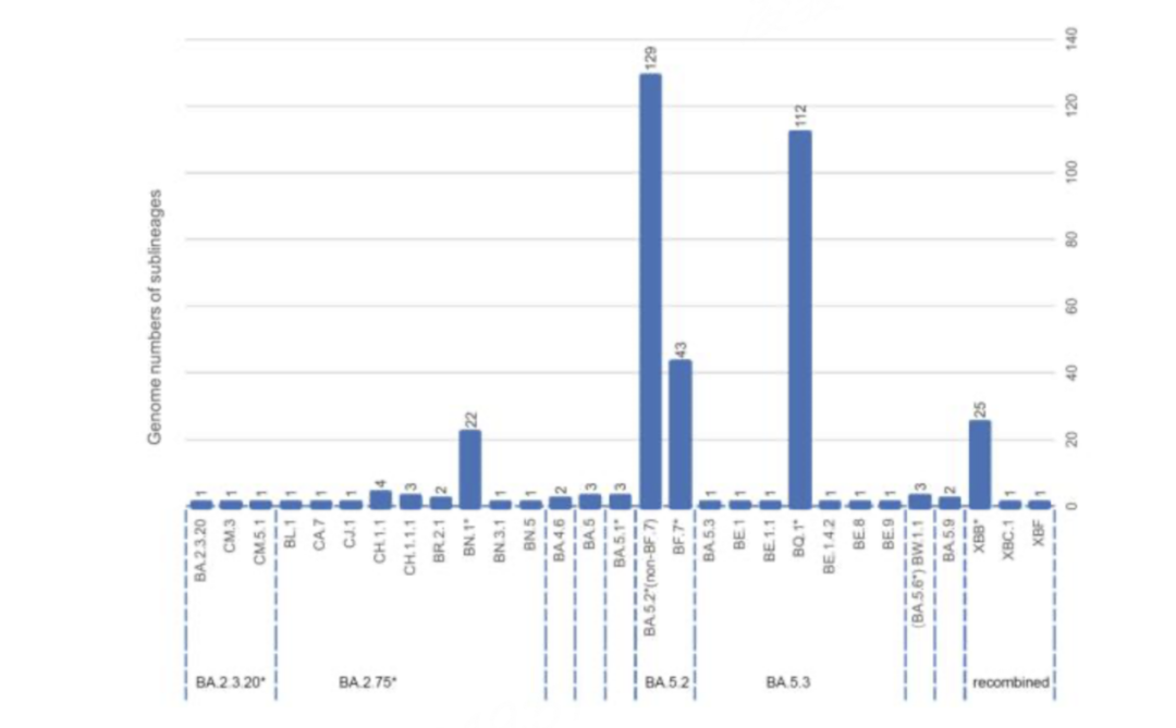 上海近期新冠病毒基因测序结果。(来源:上海交通大学医学院)