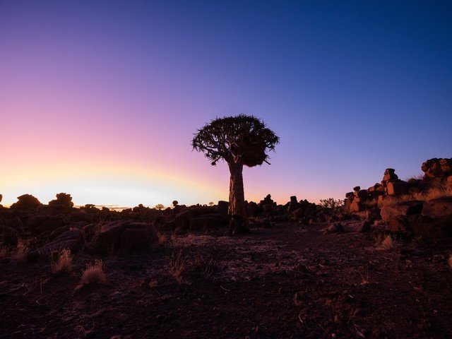 画质超越全幅机型 富士中画幅相机GFX 50S II非洲之旅