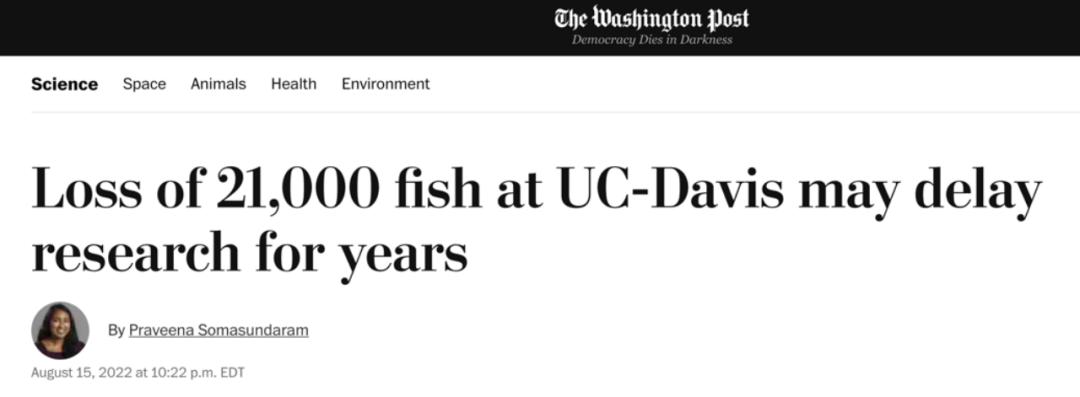 噩梦!设备发生故障,2万多条珍稀实验鱼惨遭团灭,一群研究生数年白干