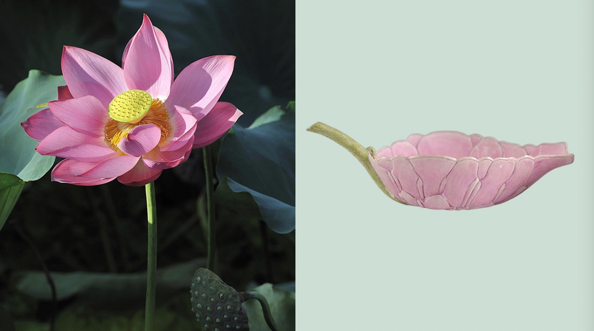 文博日历丨今日小暑 来吸一口“高颜值”清凉