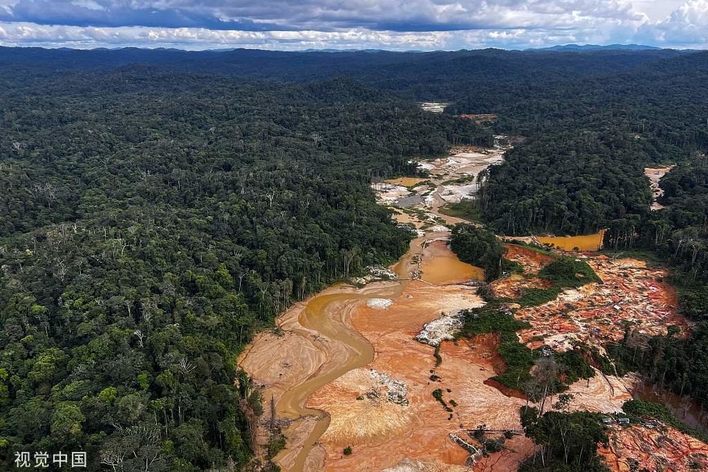 当地时间2023年2月24日，巴西罗赖马州亚诺马米地区，巴西亚马孙森林砍伐量达15年来最高水平。