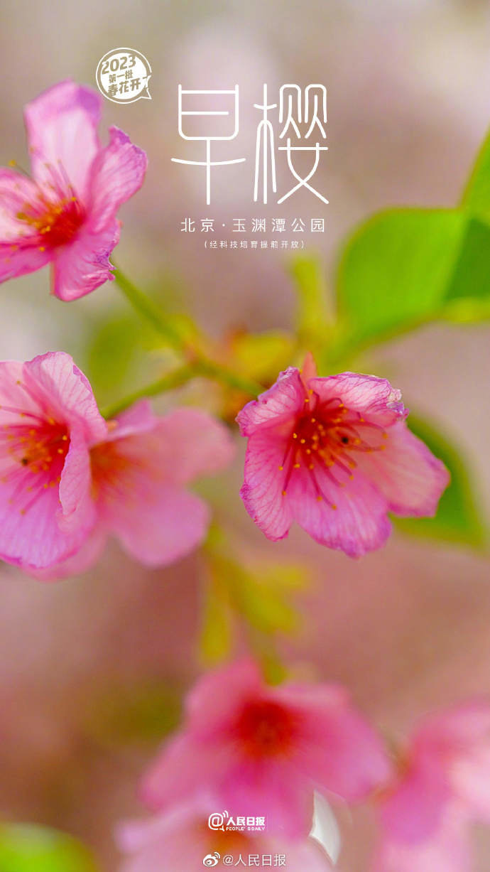 3.jpg?x-oss-process=style/w10