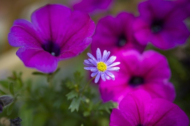 【有料评测】尼克尔Z DX 24mm f/1.7评测:轻量化大光圈定焦镜头