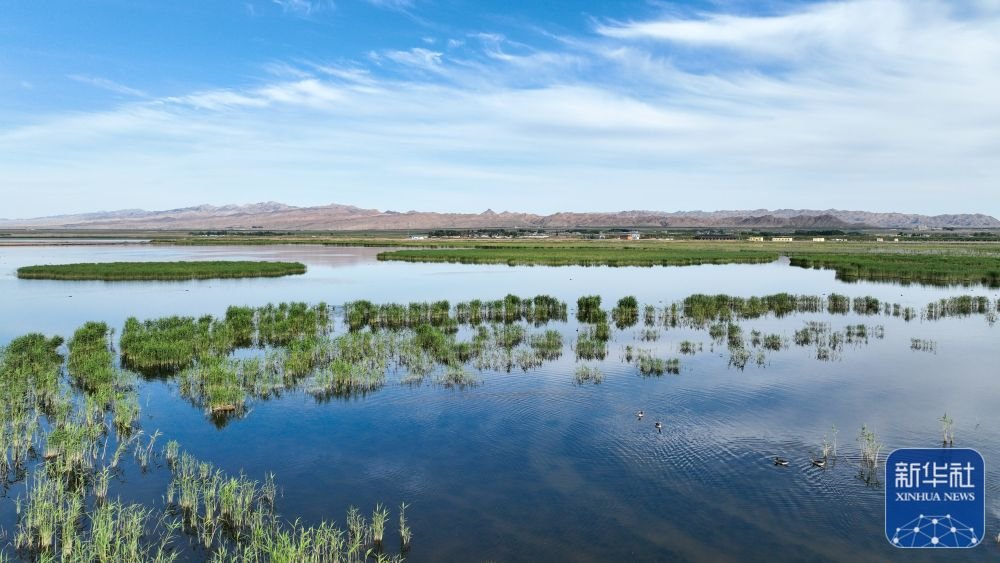 这是6月4日拍摄的位于内蒙古巴彦淖尔市乌拉特前旗的乌梁素海(无人机