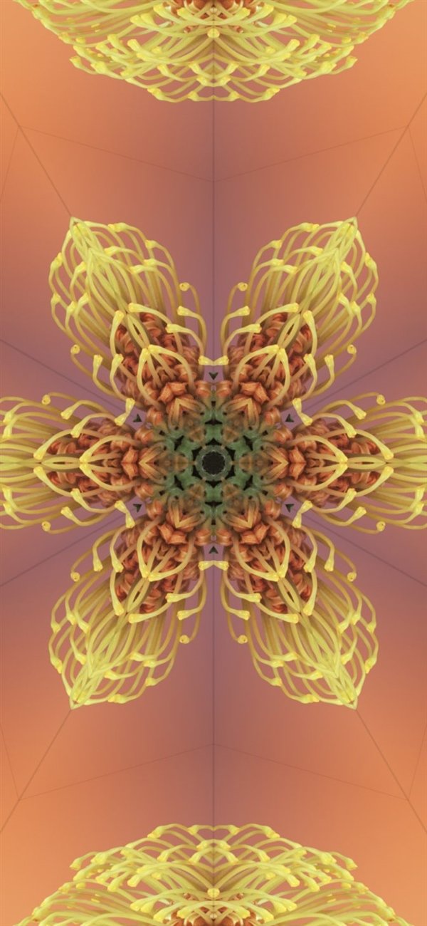 提前感受iPhone 15!iOS 17全新壁纸免费下载