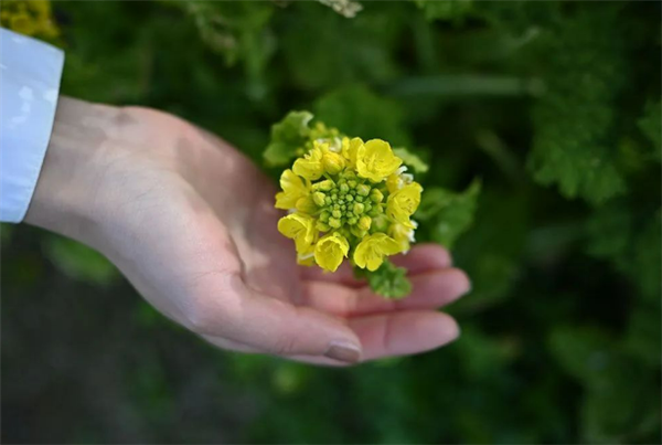 2099元!尼康尼克尔Z DX 24mm f/1.7正式发布:夜拍画质绝