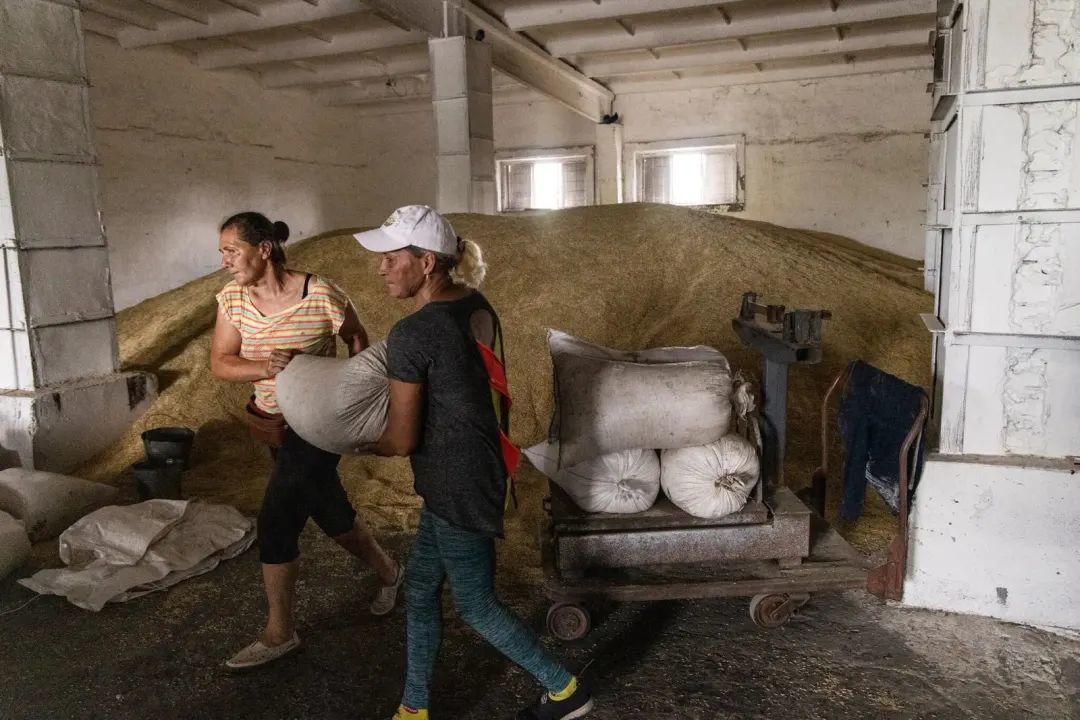 ◆2022年7月，乌克兰人在粮仓内搬运一袋袋大麦。