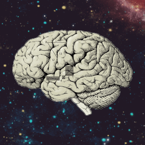 87C23C29DA32E2E0CA78D44439B7299E51C5582A_size417_w480_h480.gif