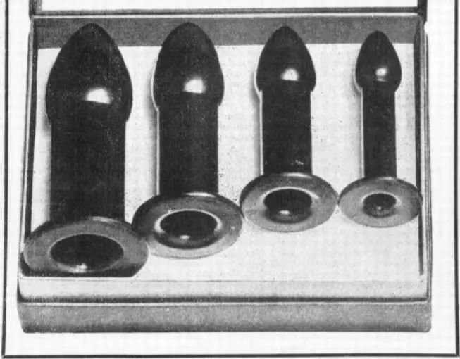 图片来源:参考文献