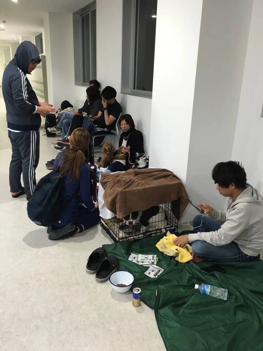 熊本地震后，一起避难的市民及宠物（图源：网络）