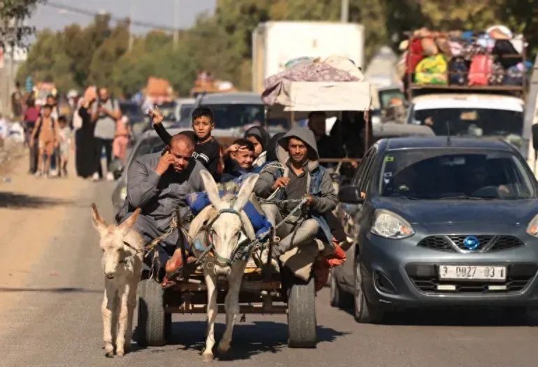 ◆以军南下后，加沙北部的巴勒斯坦人被迫逃离家园。