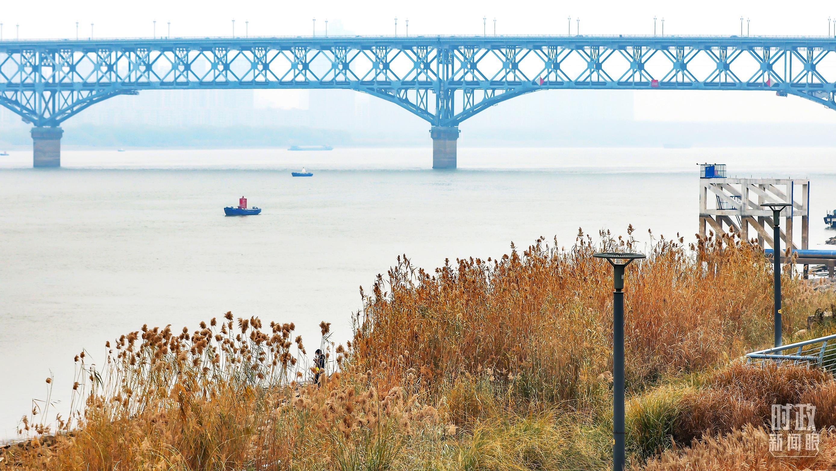 △长江江苏南京下关段岸线。(图/视觉中国)