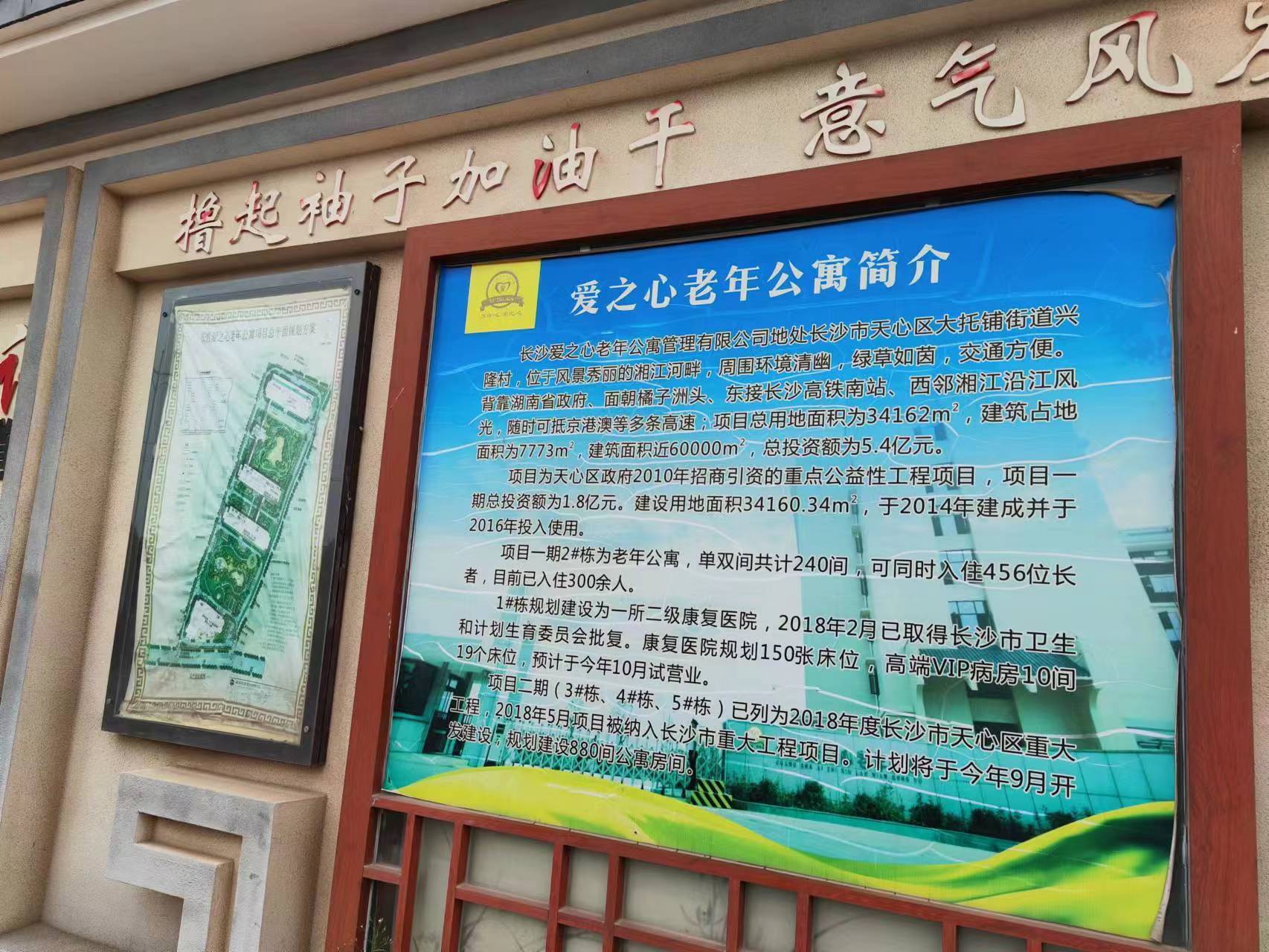 张贴在路边的爱之心简介
