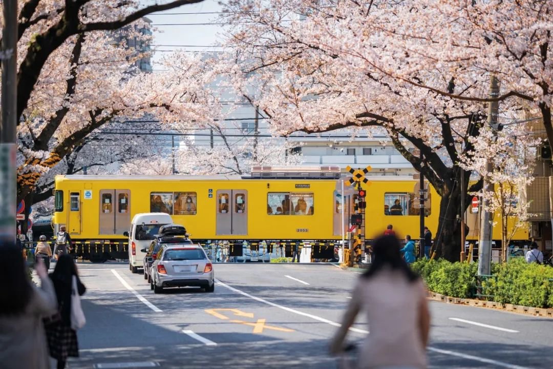 吉井忍目前所居住的中野区离新宿只有几站距离,是很有现代生活气息的地方