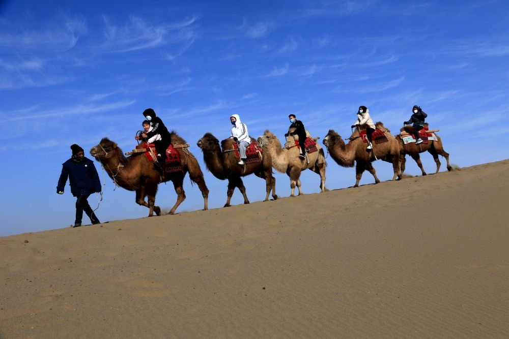 1月27日，游客在甘肃省敦煌市鸣沙山月牙泉景区骑骆驼游览。（新华社发 张晓亮 摄）