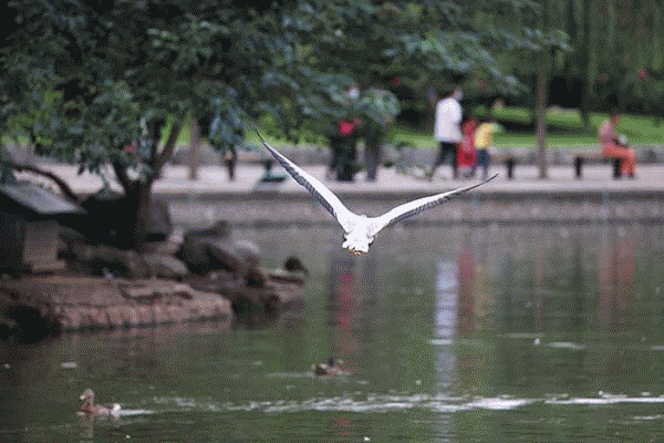 佳能EOS R5、R6哪台相机更适合你 ?