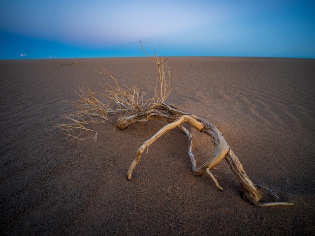 哈苏XCD 4/28P评测:轻量化高素质的入门级广角镜头