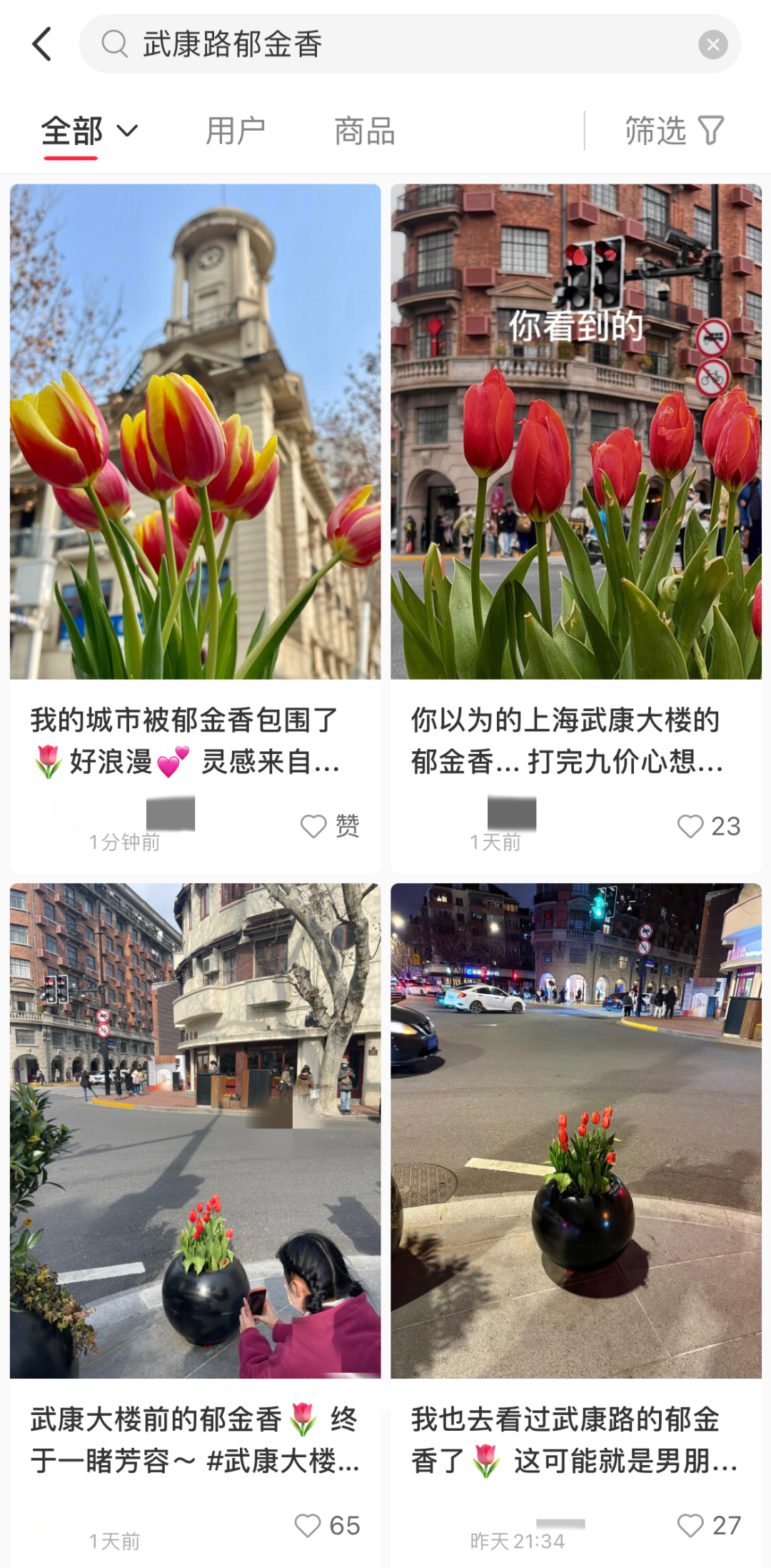 上百人排队打卡上海武康路郁金香 网友:这是“诈骗”!