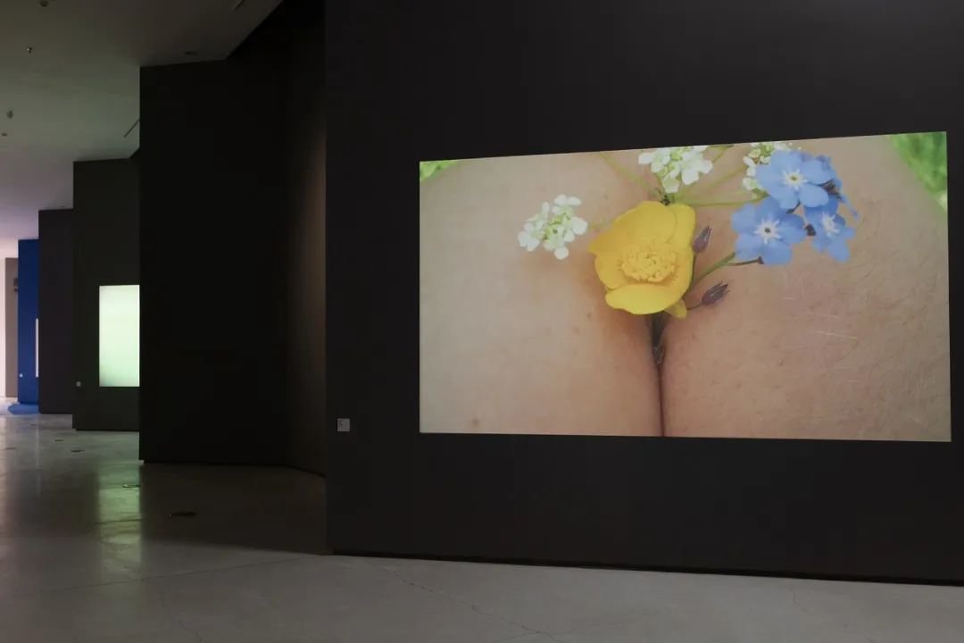 ▲ “趣时”展览现场,劳拉·普罗沃斯特(Laure Prouvost )作品在红砖美术馆展览现场,2023,图源:红砖美术馆