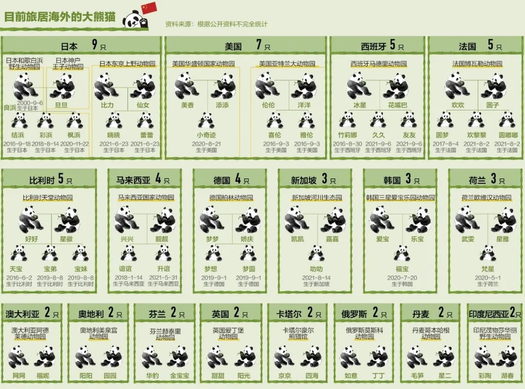 揭秘熊猫外交:“了不起的大使”曾吓坏“纸老虎”