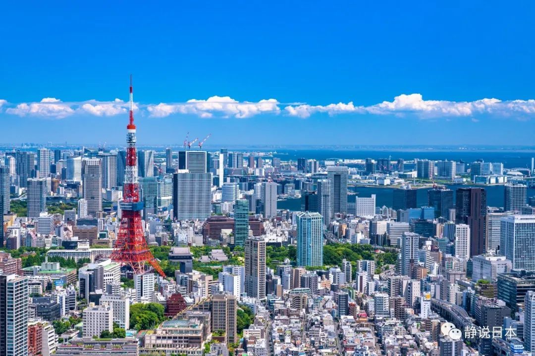 东京如何建设“海绵城市”防止被淹