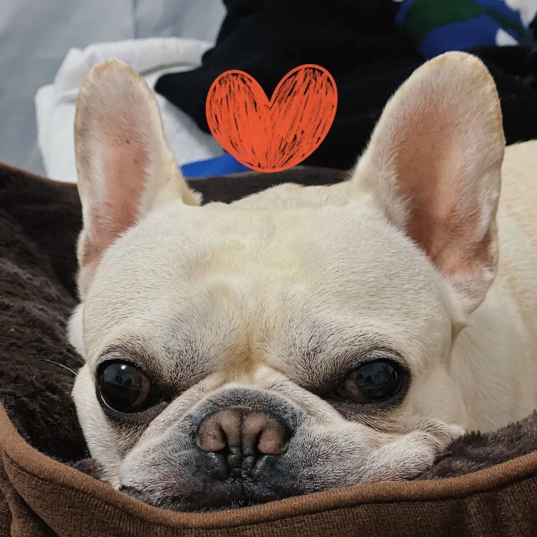 / 在我边上睡觉的大头