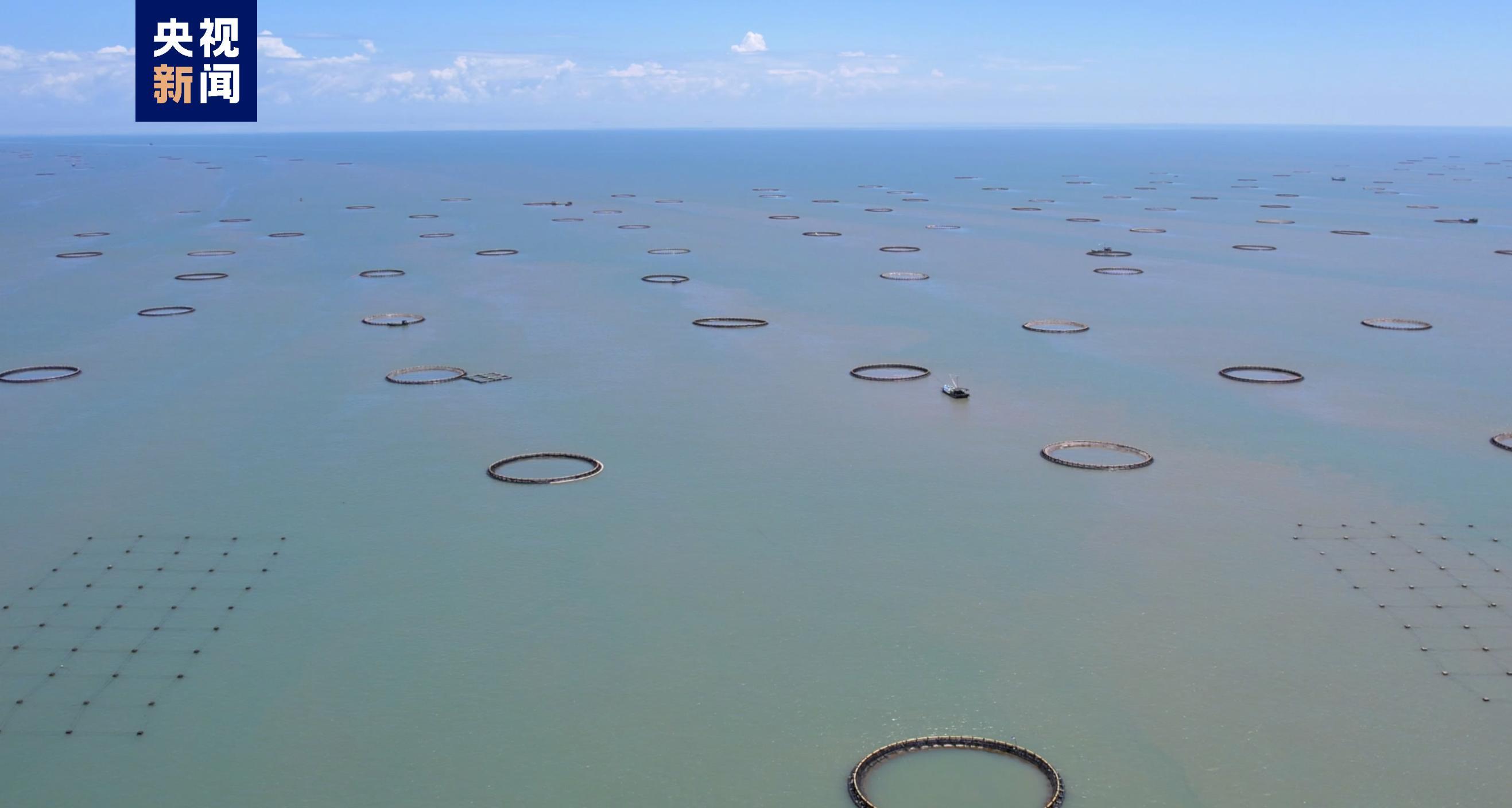 △湛江深海养殖平台