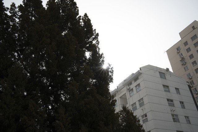 【有料评测】永诺YN35mm F2Z DF DSM评测:1799元国产全画幅自动对焦镜头