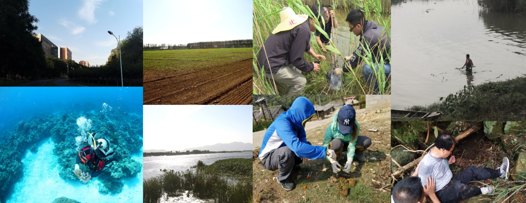 病毒学家张永振:未来5年还会不会出现新发突发传染病?可能规模不会像新冠这么大,但出现是必然