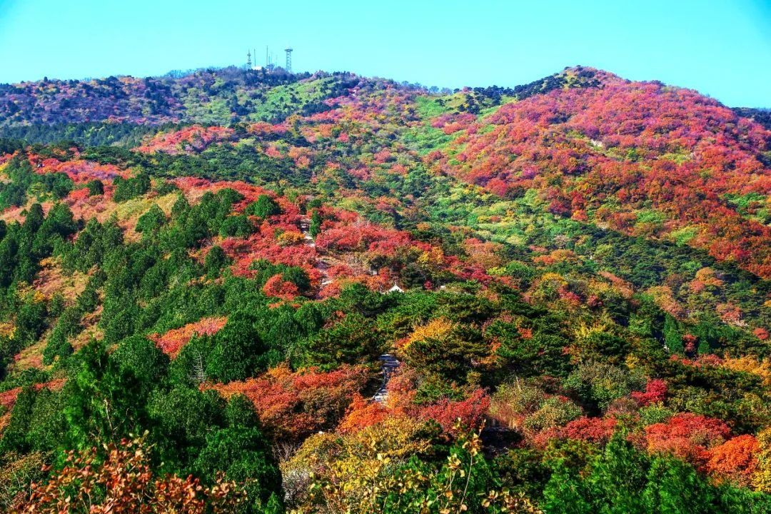 西山国家森林公园秋景