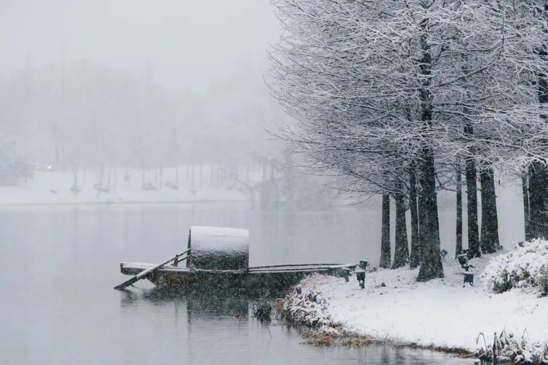 图片|南京燕雀湖雪景 · 摄图网 ©