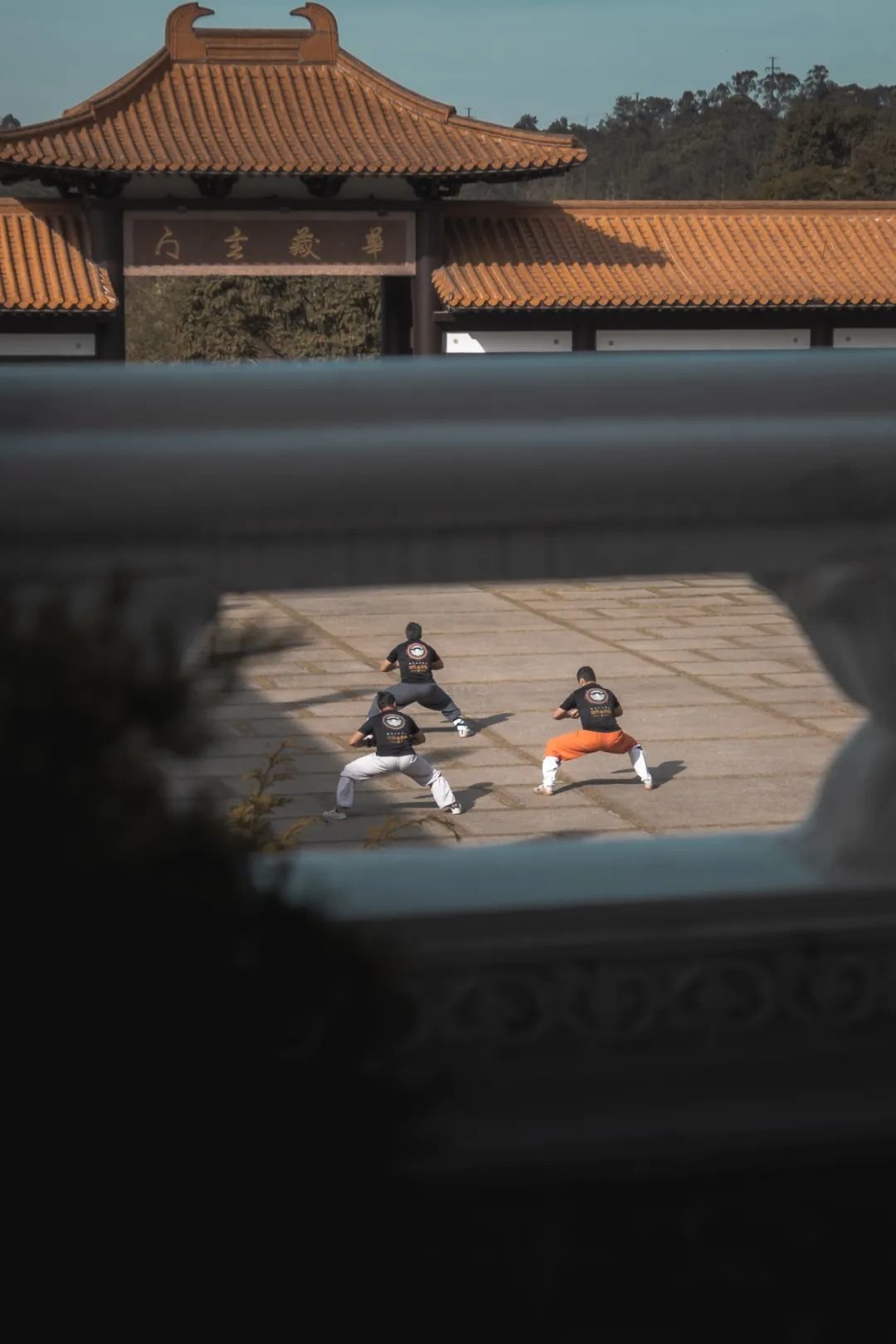 图源:Unsplash