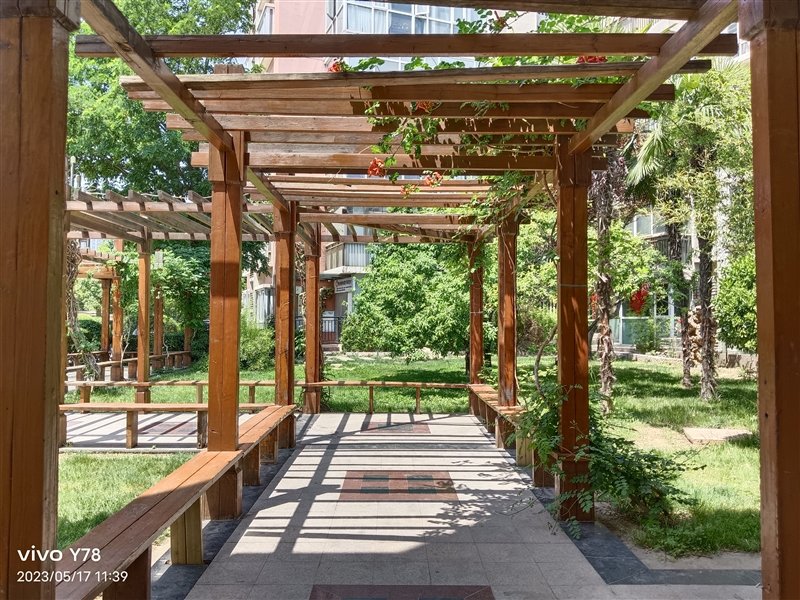 同价位独享绝世好屏! vivo Y78评测:解锁千元级新体验