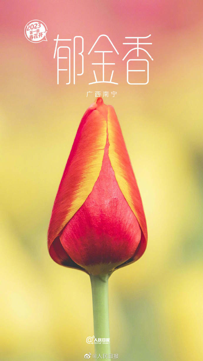 2.jpg?x-oss-process=style/w10