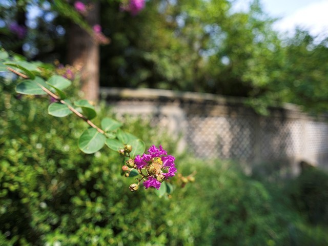 哈苏XCD 4/28P评测:轻量化高素质的入门级广角镜头