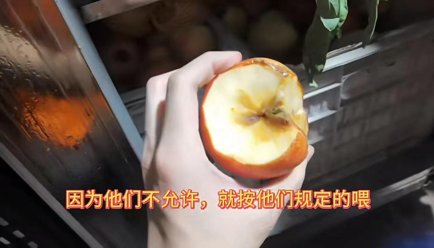 ▲网友称哈尔滨一动物园给动物喂食腐烂蔬果 网友视频截图