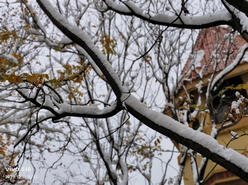 8mm机身下的续航王者!vivo S18评测:5000mAh超薄蓝海电池 轻松用一天半