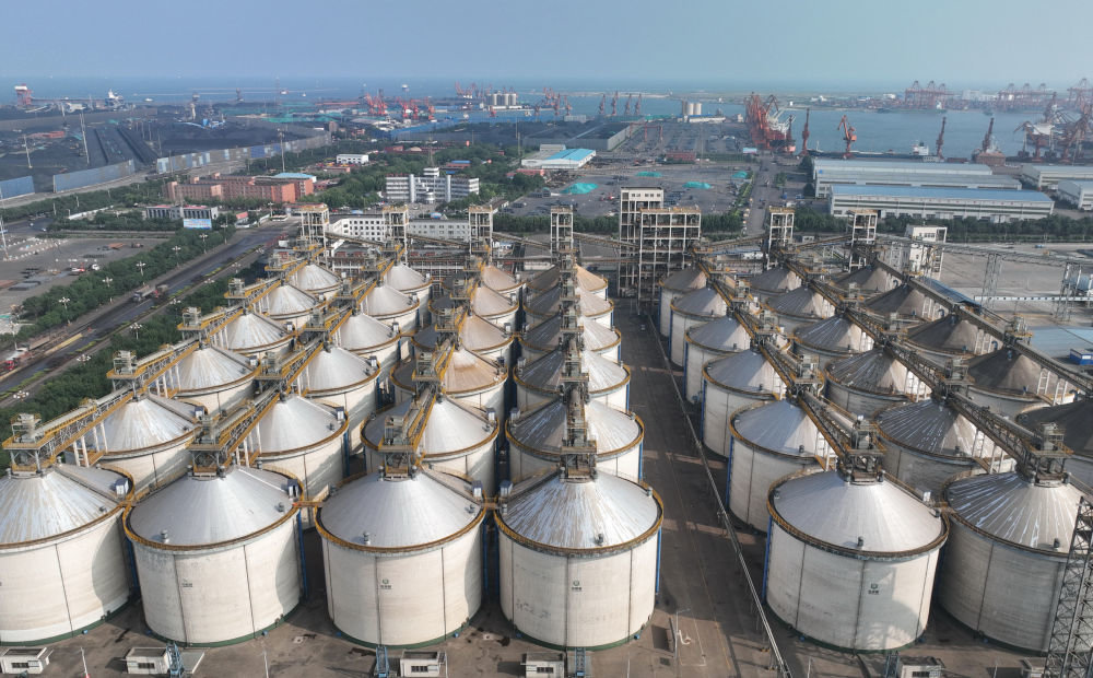 6月20日拍摄的河北省唐山市海港经济开发区的中储粮唐山直属库粮仓(无