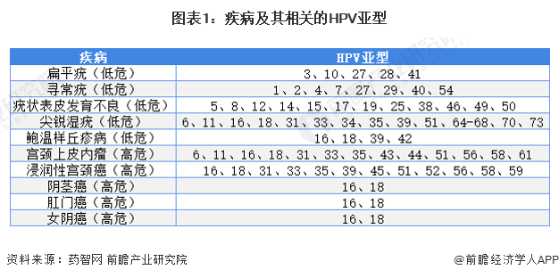 HPV病毒亚型