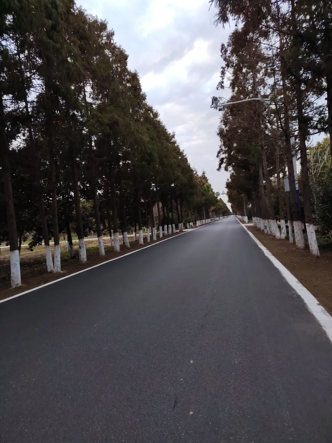 乡村不扫健康码之后